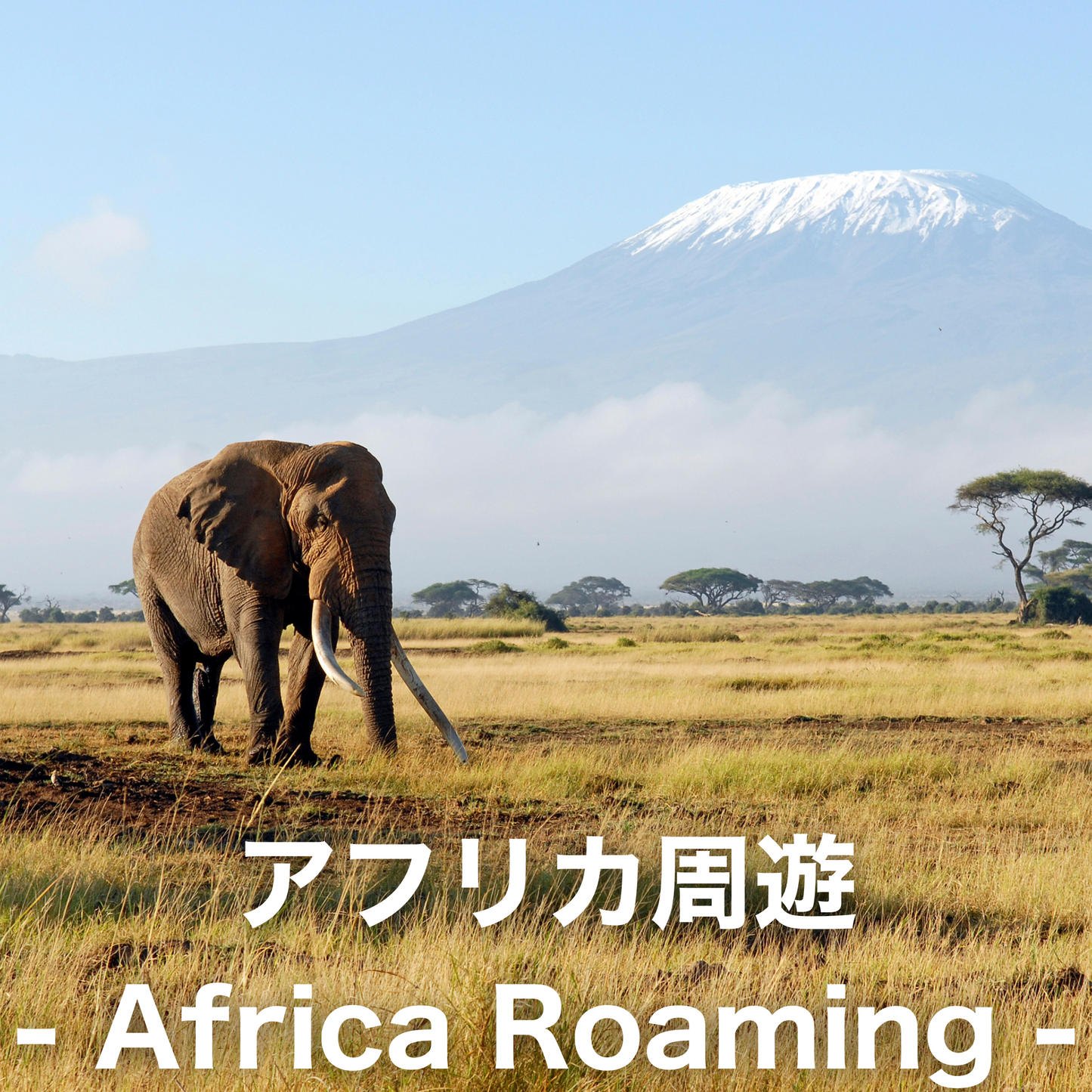 アフリカ周遊