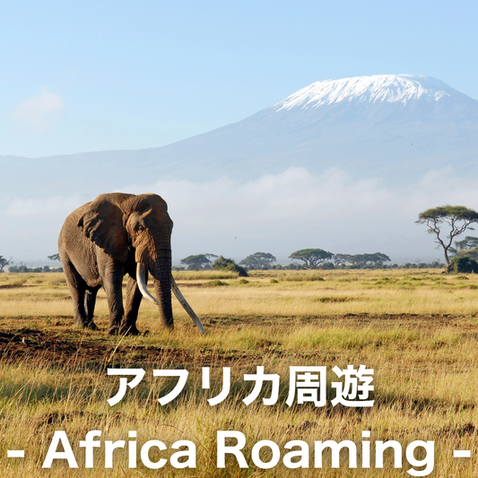 アフリカ周遊