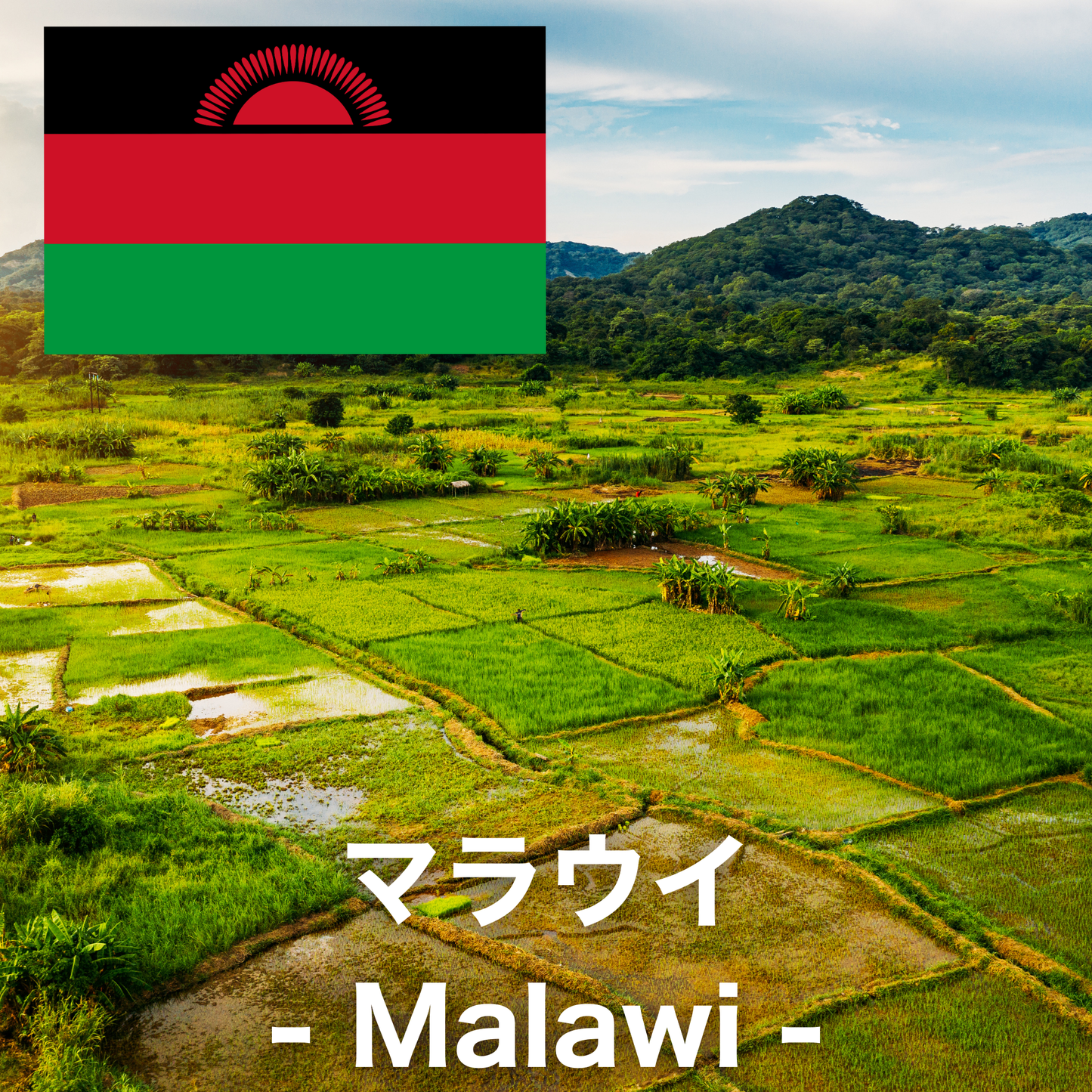 マラウイ